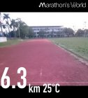 Exercise for running