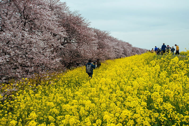 風景1 (111).jpg