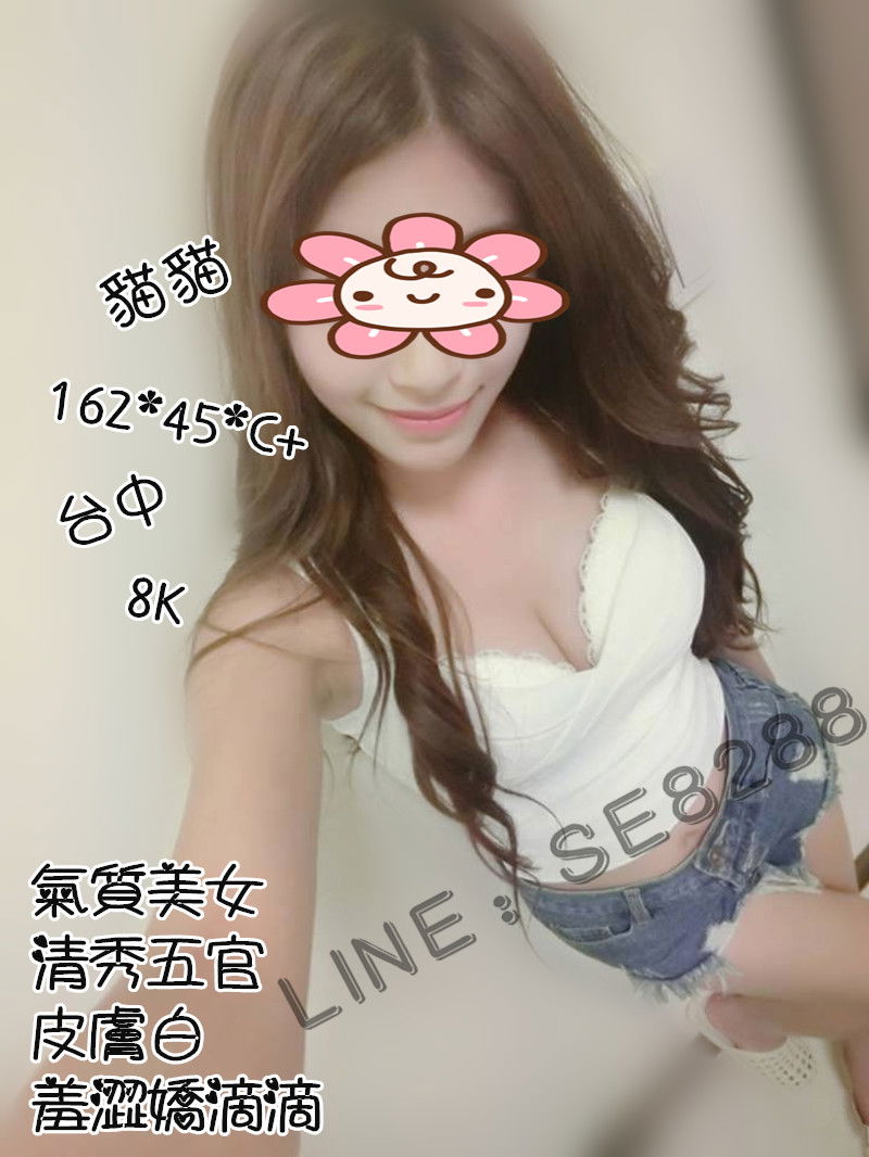貓貓【台中】8000.jpg