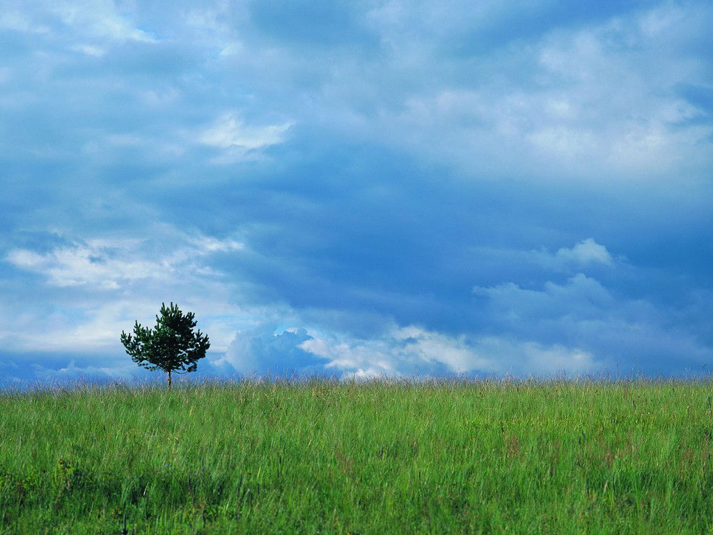 風景 (148).jpg