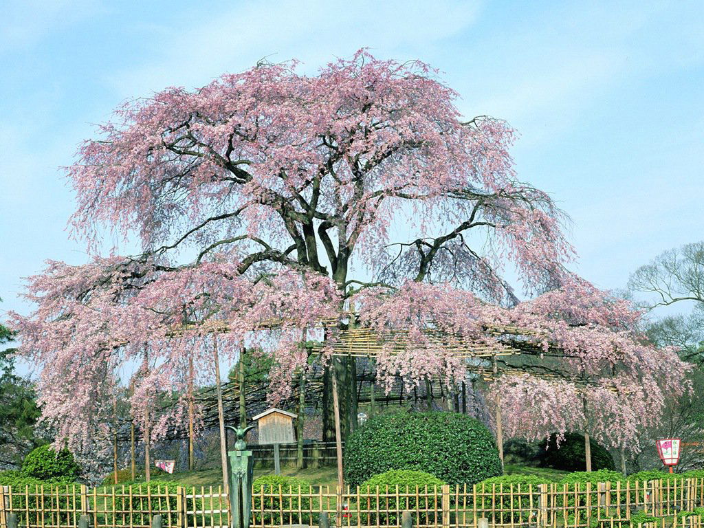 風景 (163).jpg