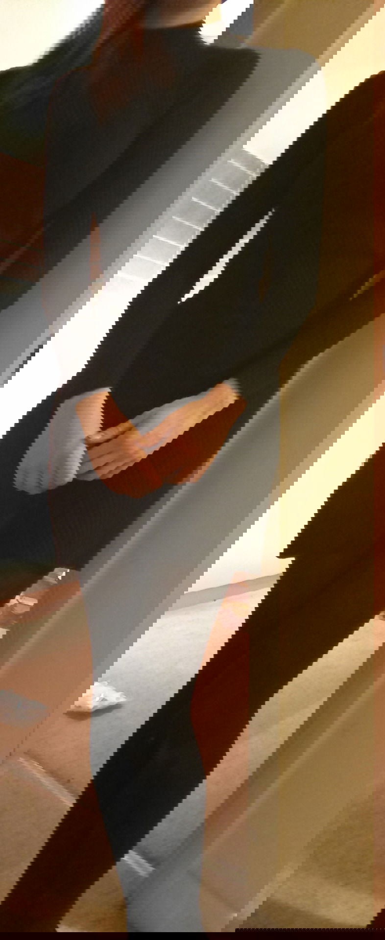 12240227.jpg
