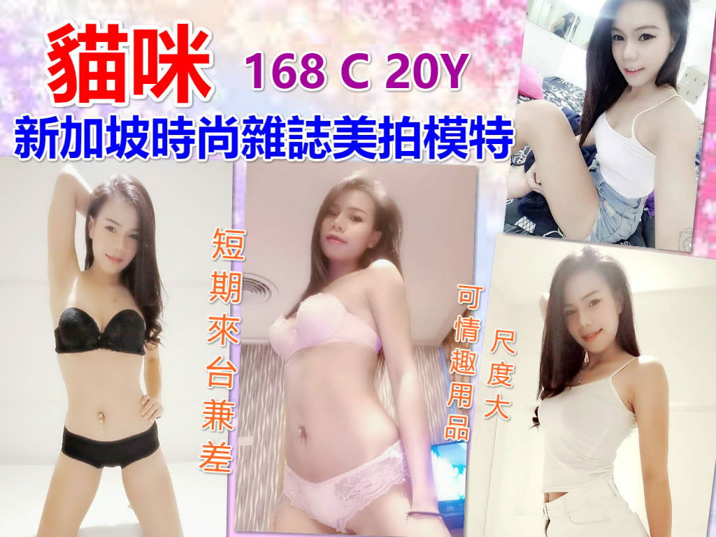 貓咪.jpg