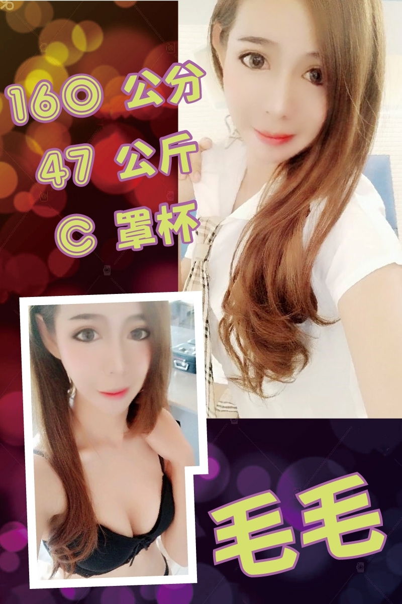 毛毛.jpg