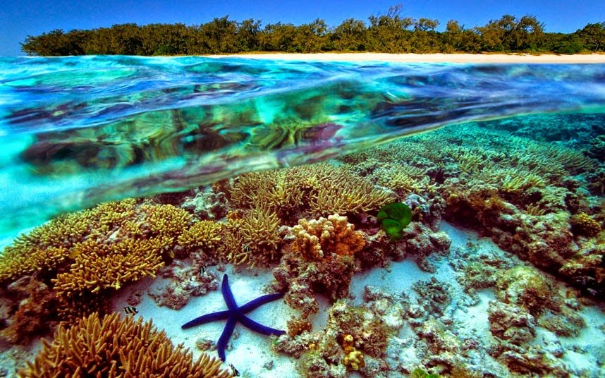 2 Great Barrier Reef.jpg