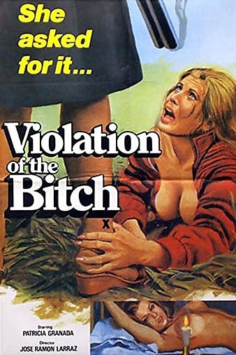 poster_opt.jpg