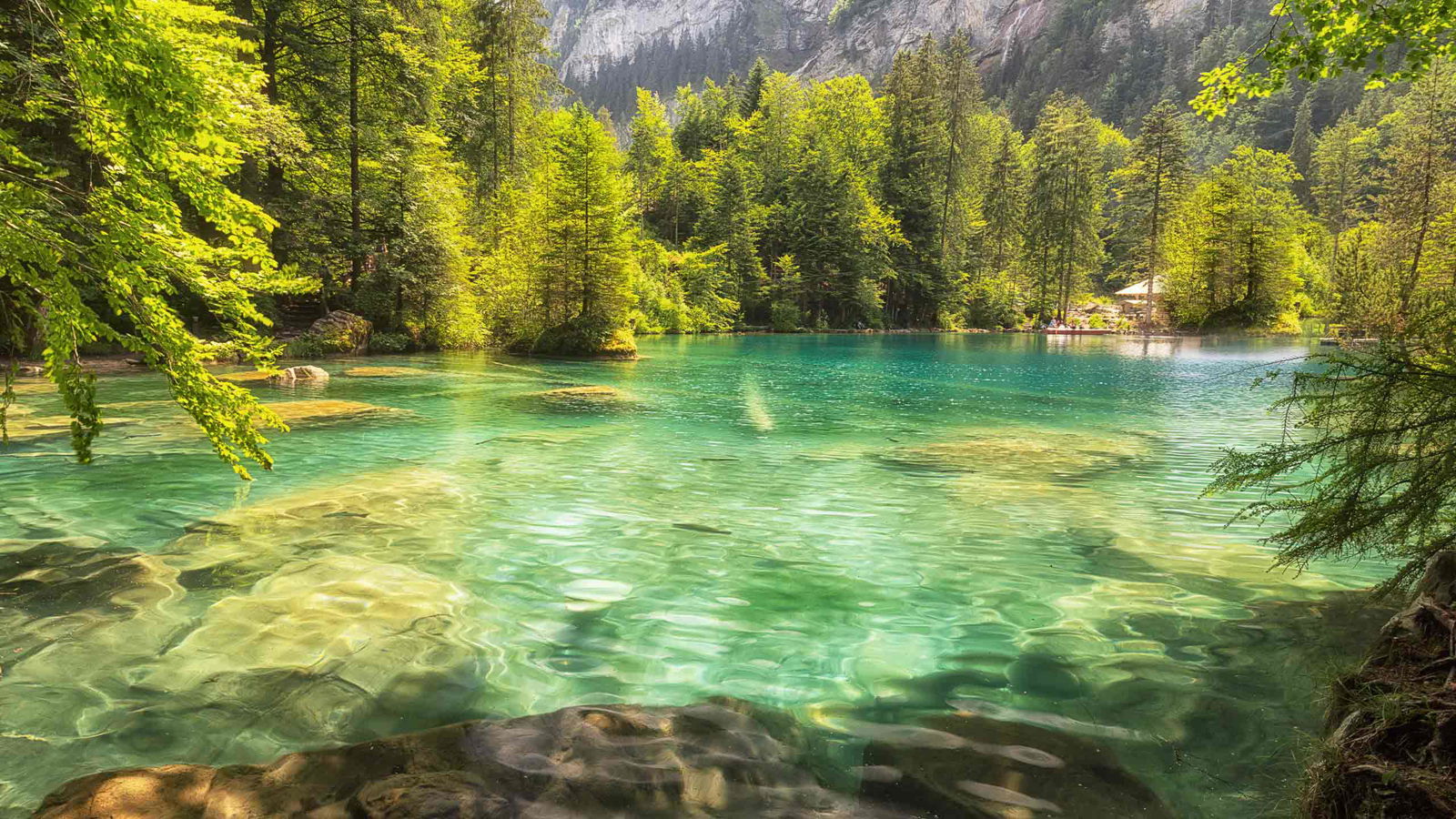 Blausee.jpg