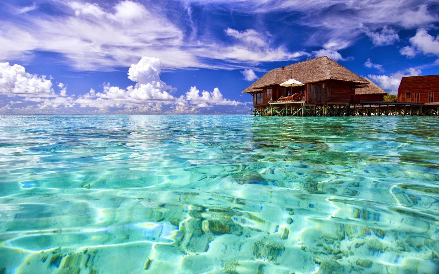 19 Maldives 4.jpg