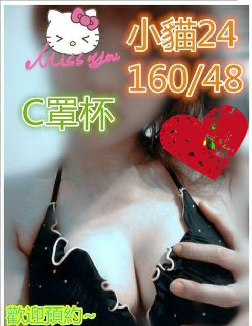 小貓4.jpg