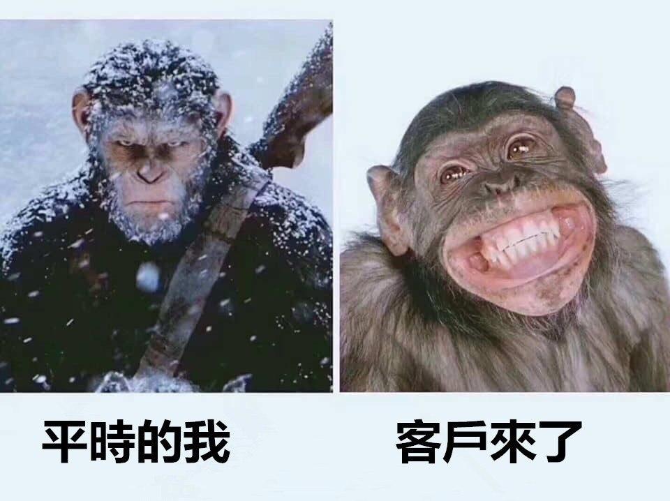 154535log4485h37237j58.jpg