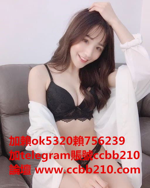 貓兒.jpg