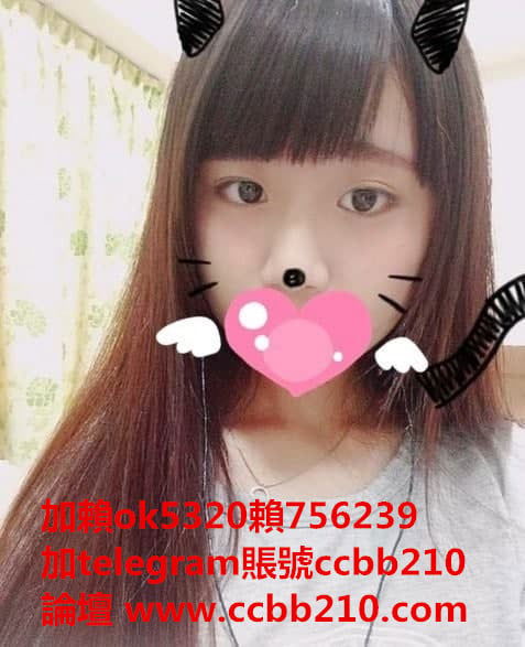 貓貓.jpg