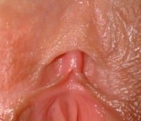 Clitoris Photo.jpg