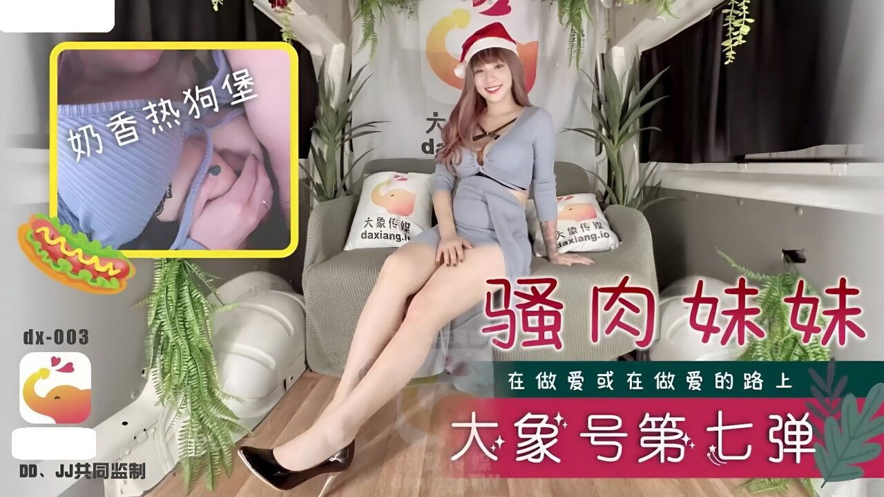 DX003 大象传媒 骚肉妹妹 在做爱或在做爱的路上 何安汝.jpg