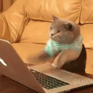 d5af2385e544f20e58020513bb69c5c8.gif