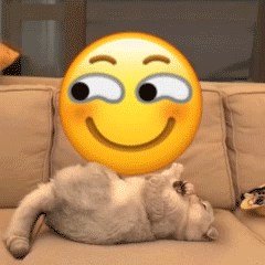 62068a4ee043dUyz.gif