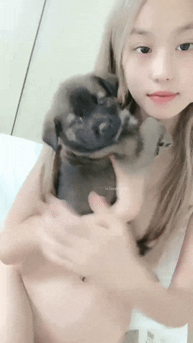 2 (4).gif
