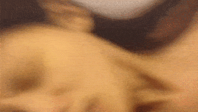 2 (4).gif