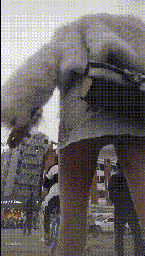 a2708 (2).gif