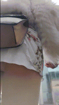 e2708.gif