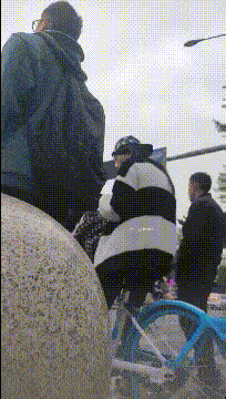 f2708 (2).gif