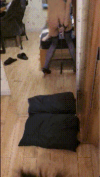 2 (12).gif