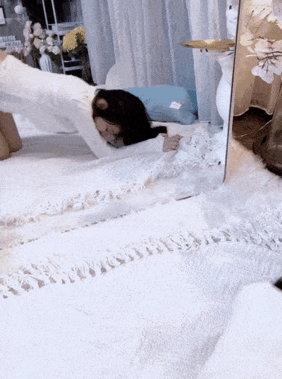 -1 (2).gif