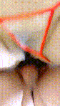 c3004 (2).gif