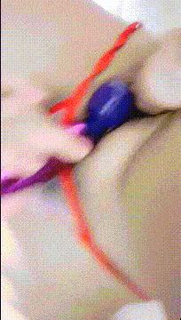 d3004 (2).gif