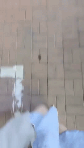 2 (1).gif