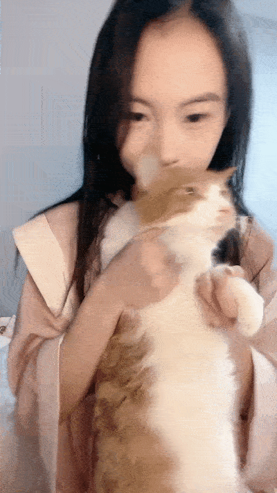 1 (2).gif