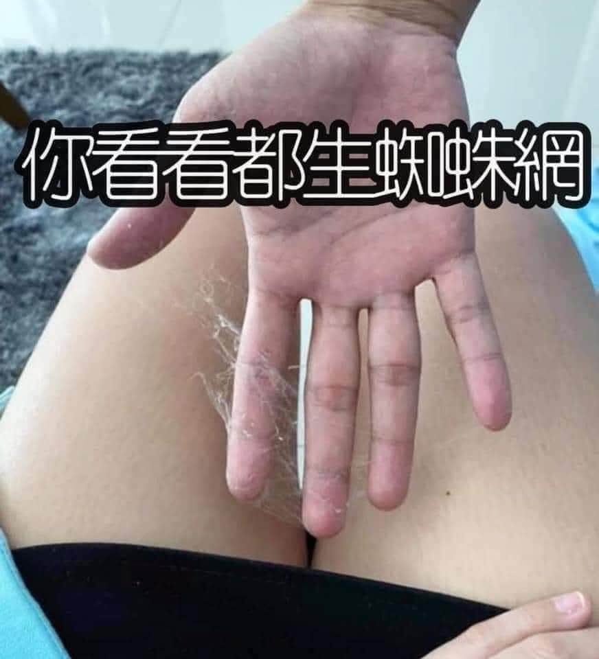 85205efd-cc78-469e-b61c-57e9ec2c33b5-1_all_2323.jpg