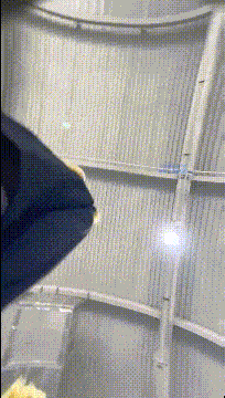 a1008 (2).gif