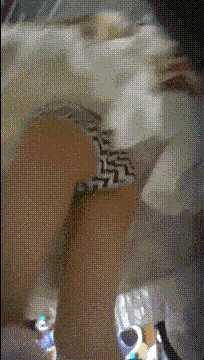 g1008 (2).gif