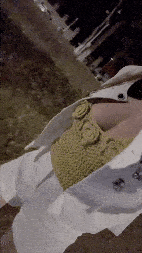 2 (5).gif