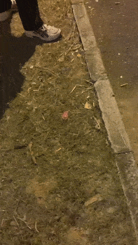 2 (6).gif