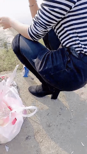 22891.gif