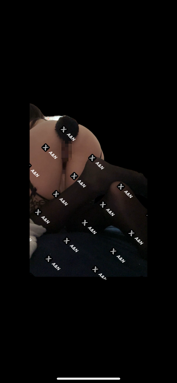 IMG_9950.png