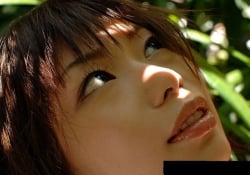 gra_hikari-h 【30P】