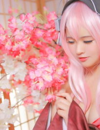 Cosplayer Collections - Summer Sonico
