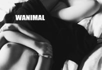 WANIMAL经典图片