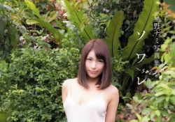 日本美女星野ナミ，女神身材，胸部波涛汹涌