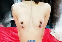 调教小野猫乳头夹，项圈，铁链，你想看的都有[20P]