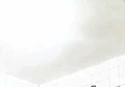 我朋友他女友