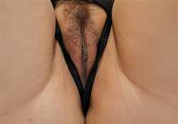 mr solex's wife (part 2)