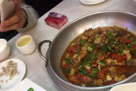 ----遊桂林吃啤酒魚之「謝三姐啤酒魚」