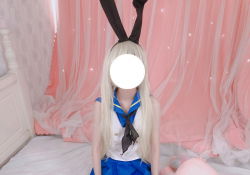 茶狸子 風少女