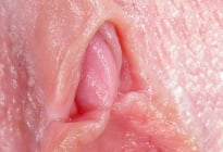 让你看见就想舔的蜜糖穴