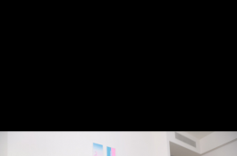 居家嫻熟淫蕩女