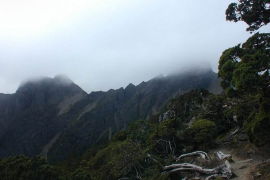 東眼山森林遊樂場